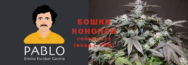 шишки Богородицк