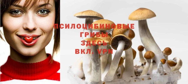a pvp Богданович