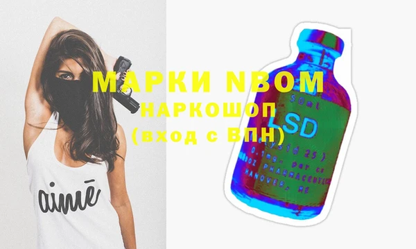 шишки Богородицк