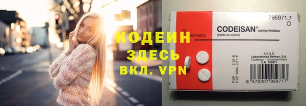 шишки Богородицк