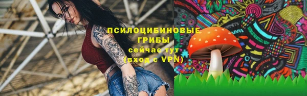 a pvp Долгопрудный