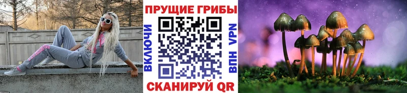 Галлюциногенные грибы Cubensis  Вельск 
